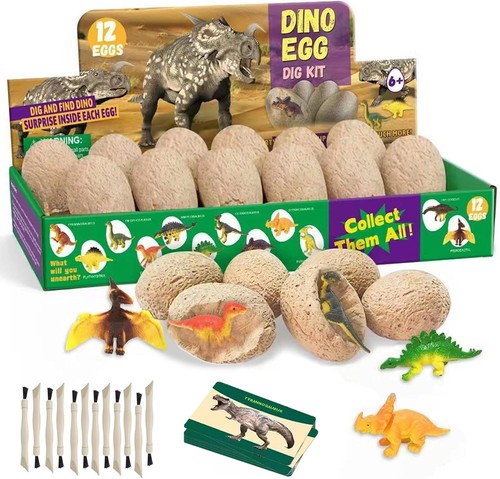 Dino ausgrabungsset stück - ausgrabungsset, 12
