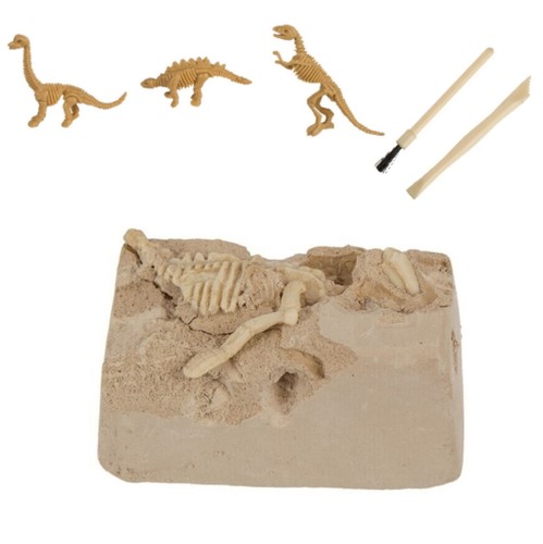 Dinosaurier skelett - dinosaurier,