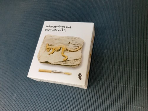 Ausgrabungs set dino für - ausgrabungs-set,