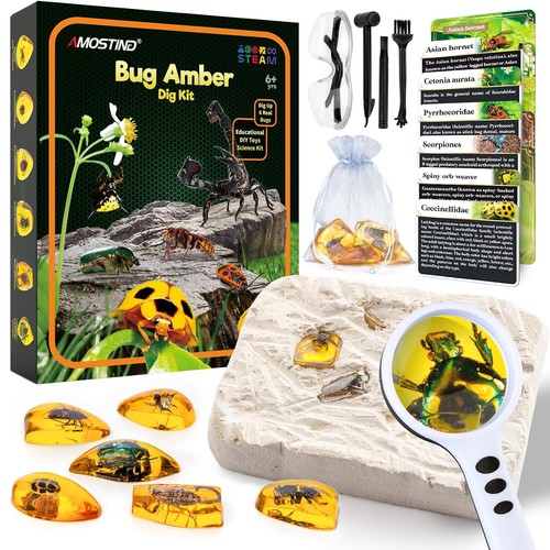 Amosting bernstein - amosting,