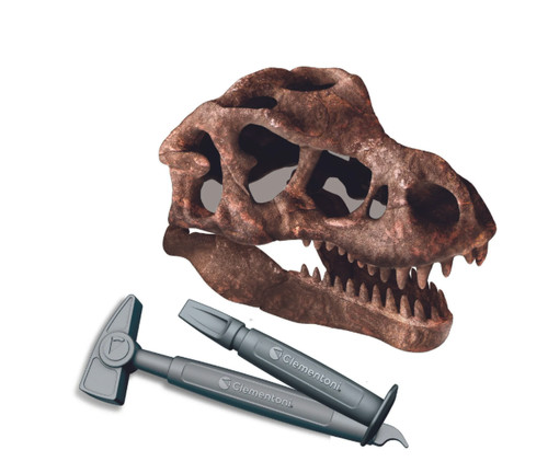 Rex riesenschädel - t-rex,